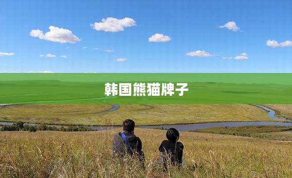 韩国熊猫牌子