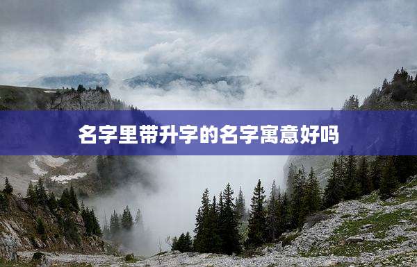 名字里带升字的名字寓意好吗