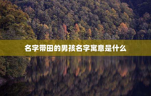 名字带田的男孩名字寓意是什么