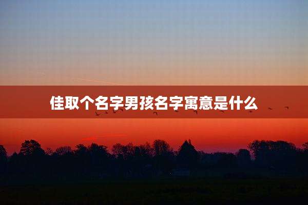 佳取个名字男孩名字寓意是什么