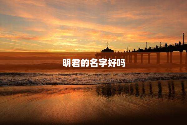 明君的名字好吗