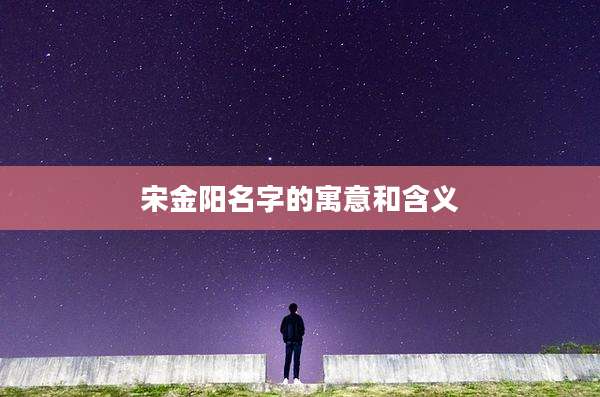 宋金阳名字的寓意和含义