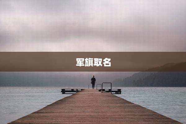 军旗取名