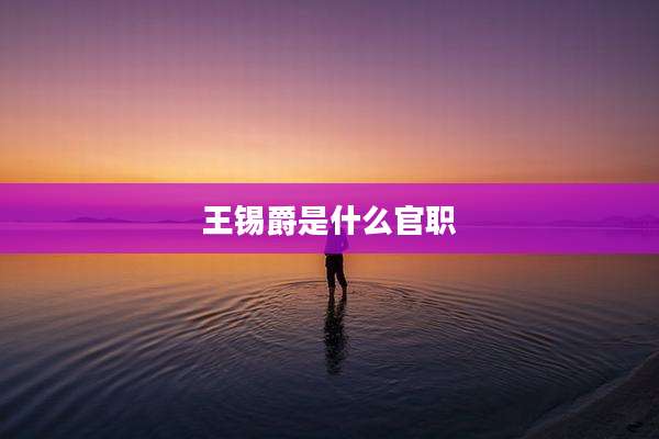 王锡爵是什么官职