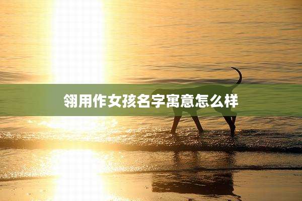 翎用作女孩名字寓意怎么样