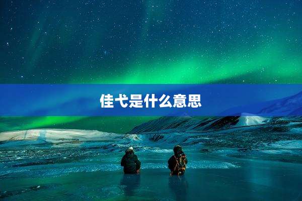 佳弋是什么意思