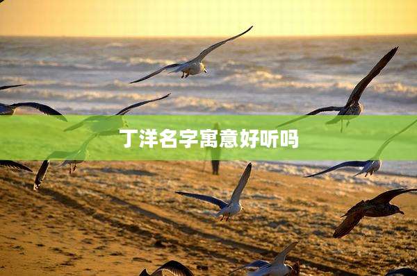 丁洋名字寓意好听吗