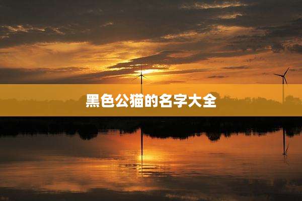 黑色公猫的名字大全