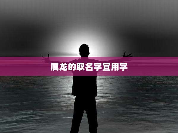 属龙的取名字宜用字