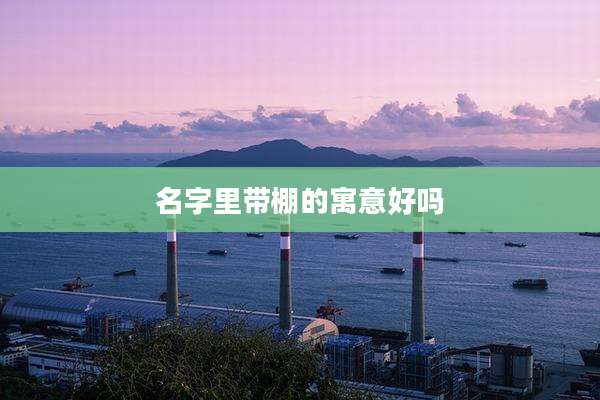 名字里带棚的寓意好吗