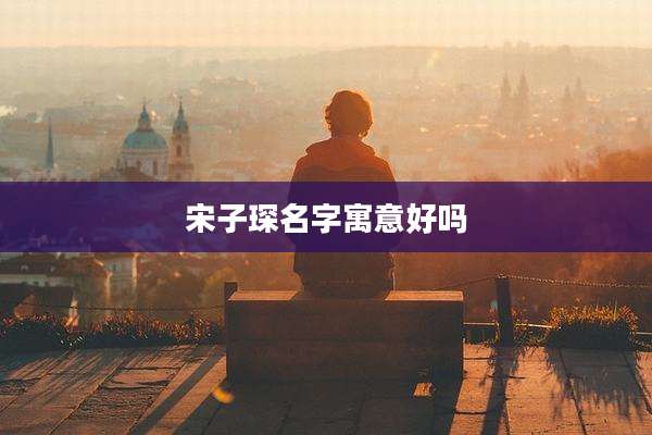 宋子琛名字寓意好吗