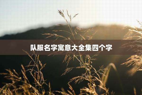 队服名字寓意大全集四个字