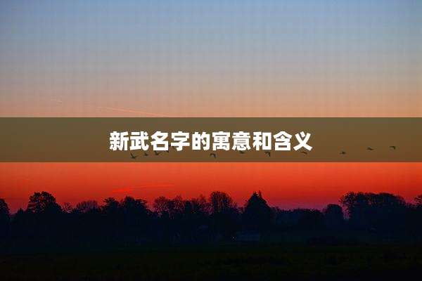 新武名字的寓意和含义
