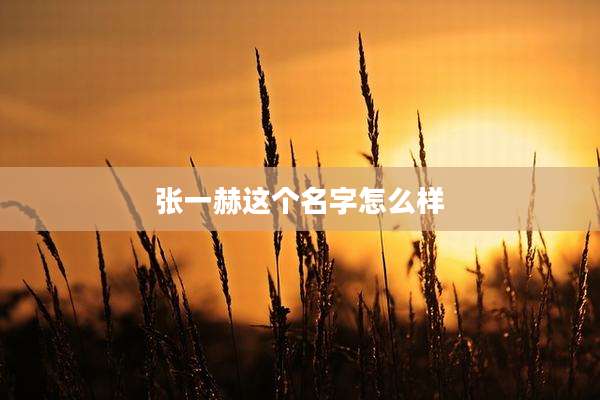 张一赫这个名字怎么样
