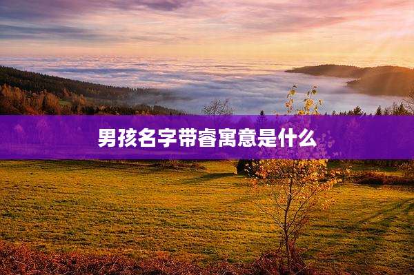 男孩名字带睿寓意是什么