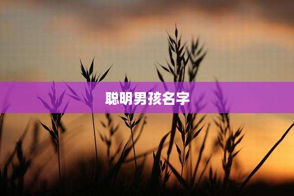 聪明男孩名字