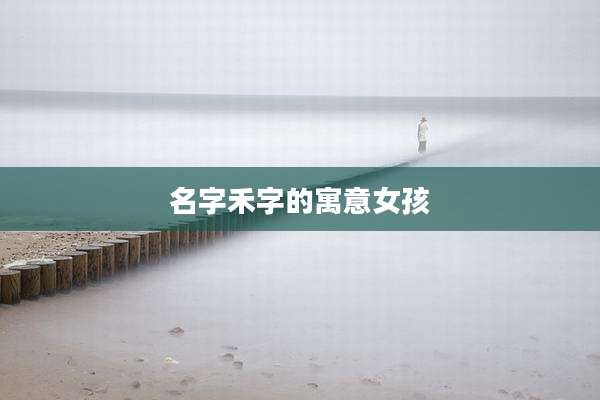 名字禾字的寓意女孩