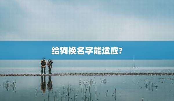 给狗换名字能适应?