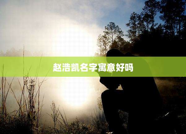 赵浩凯名字寓意好吗
