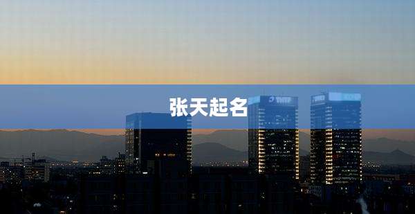 张天起名