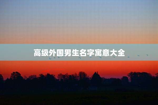 高级外国男生名字寓意大全