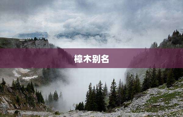 樟木别名