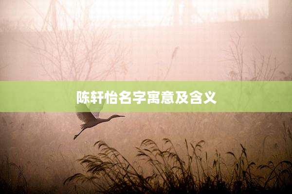 陈轩怡名字寓意及含义