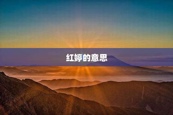 红婷的意思