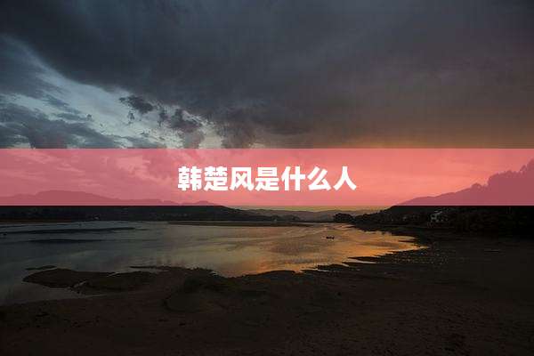 韩楚风是什么人