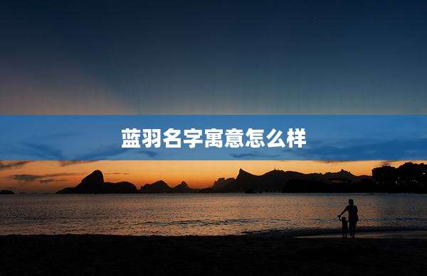 蓝羽名字寓意怎么样