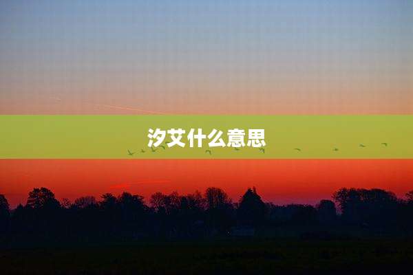 汐艾什么意思