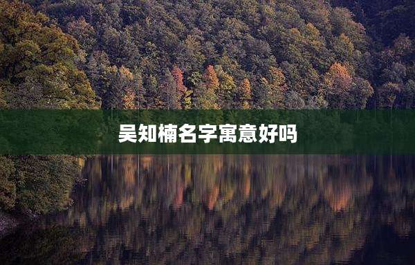 吴知楠名字寓意好吗
