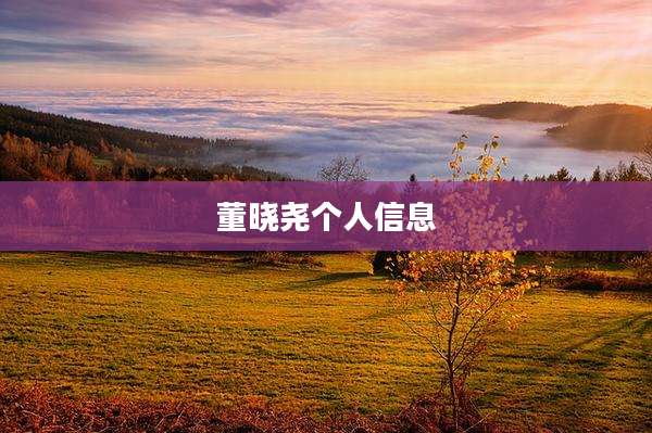 董晓尧个人信息