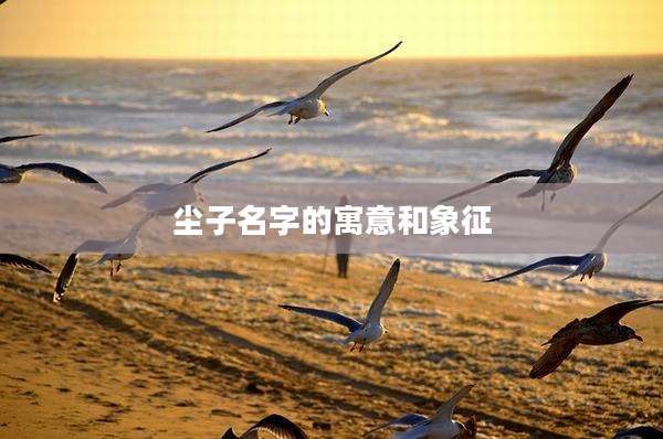 尘子名字的寓意和象征