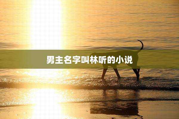 男主名字叫林听的小说