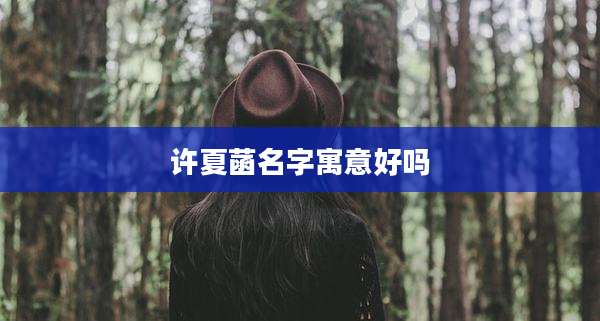 许夏菡名字寓意好吗