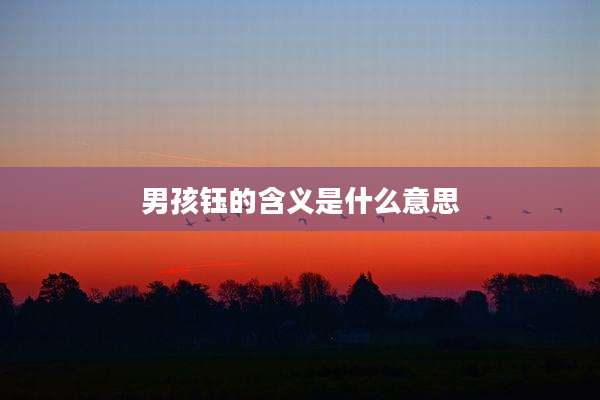 男孩钰的含义是什么意思