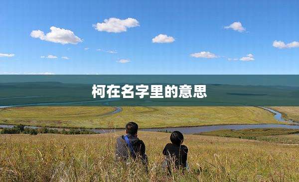 柯在名字里的意思