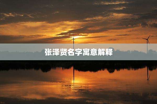 张泽贤名字寓意解释
