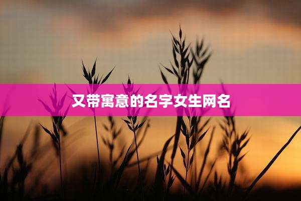 又带寓意的名字女生网名