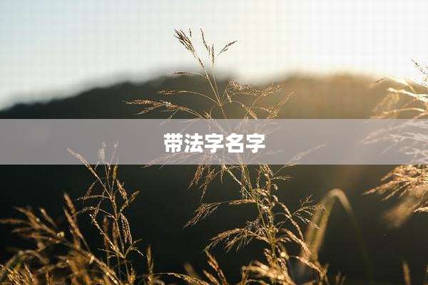 带法字名字