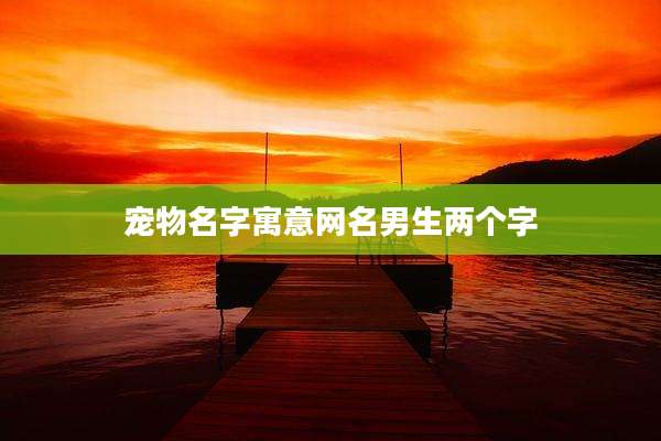 宠物名字寓意网名男生两个字