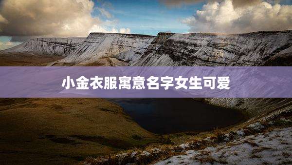 小金衣服寓意名字女生可爱