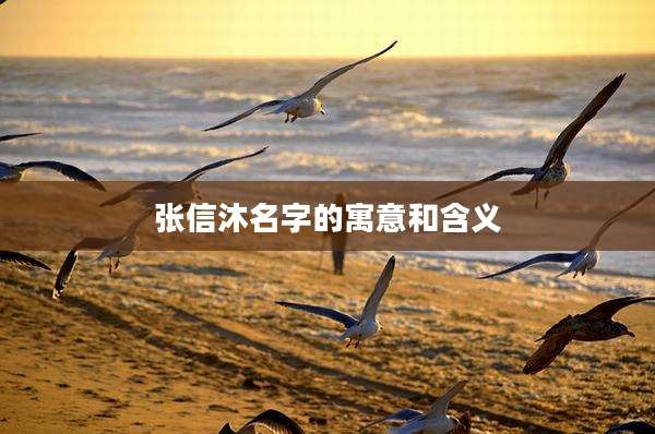 张信沐名字的寓意和含义