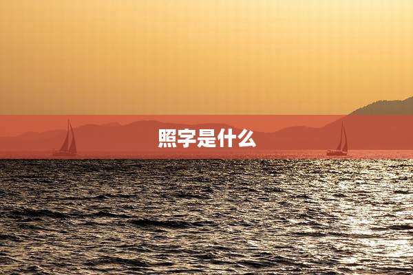 照字是什么