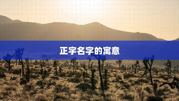正宇名字的寓意