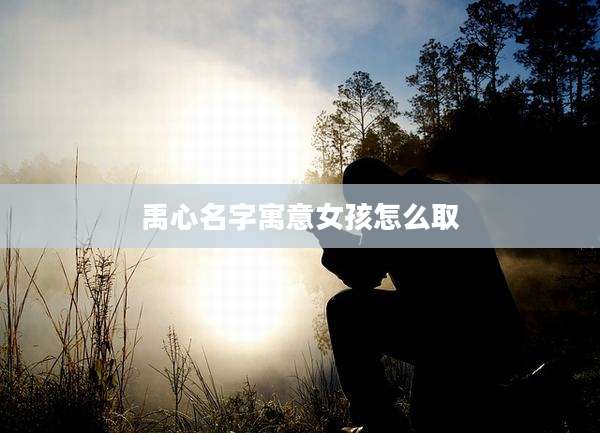 禹心名字寓意女孩怎么取