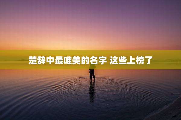 楚辞中最唯美的名字 这些上榜了