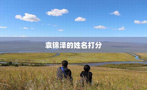 袁锦泽的姓名打分