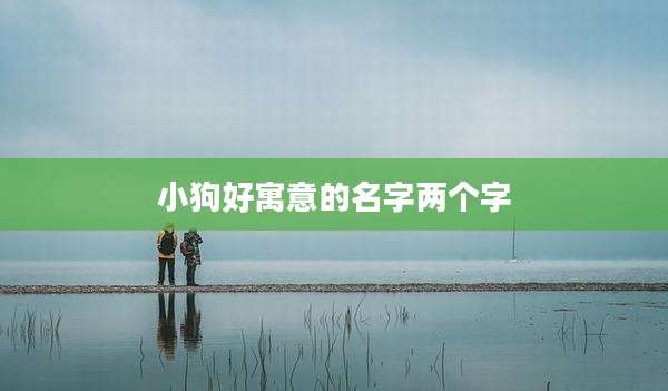 小狗好寓意的名字两个字